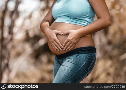 Tummy of a Pregnant Woman. Making Heart Shape by her Hands on Belly. Body Part. Enjoying Pregnancy. Young Happy Family.. Healthy Family Love Concept