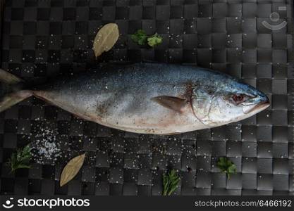 Tuna fresh fish. Tuna fresh fish on a dark backgrund