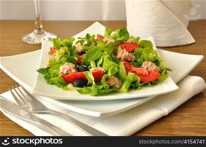 Tuna salad with mint and mixed vegetables with olives