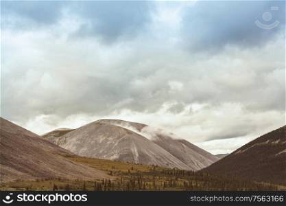 tundra in Alaska