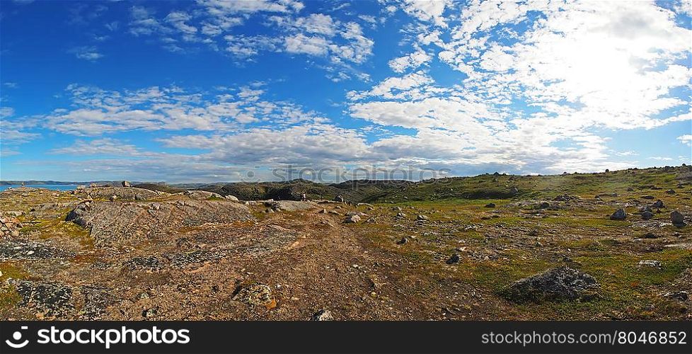 Tundra in the north of Russia. Panorama