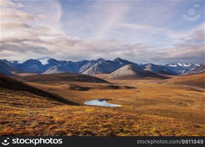 Tundra landscapes above Arctic circle