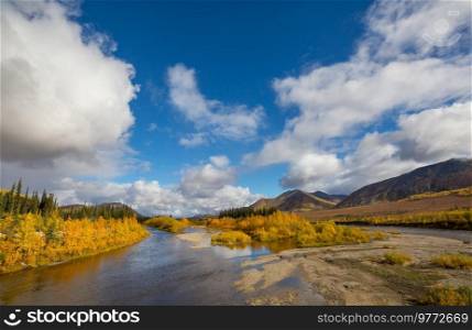 Tundra landscapes above Arctic circle in autumn season. Beautiful natural background.