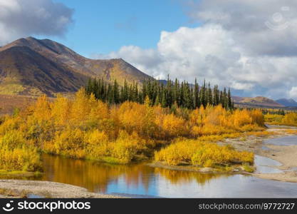 Tundra landscapes above Arctic circle in autumn season. Beautiful natural background.