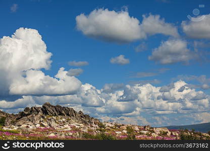 tundra of Alaska