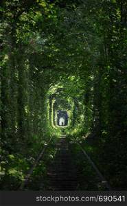 tunnel of Love at the Ukraine