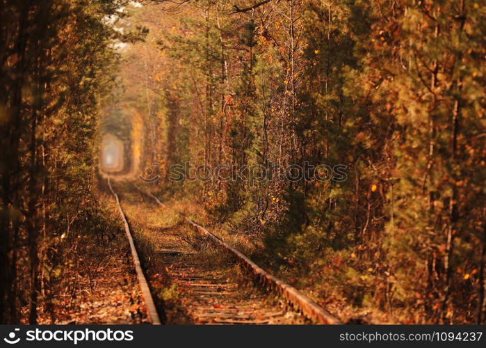 Tunnel of Love. Tunnel of Love in Ukraine. A railway in the autumn forest tunnel of love. Old mysterious forest. Tunnel of Love. Tunnel of Love in Ukraine. A railway in the autumn forest tunnel of love. Old mysterious forest.