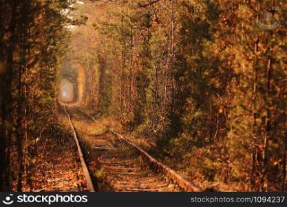 Tunnel of Love. Tunnel of Love in Ukraine. A railway in the autumn forest tunnel of love. Old mysterious forest. Tunnel of Love. Tunnel of Love in Ukraine. A railway in the autumn forest tunnel of love. Old mysterious forest.