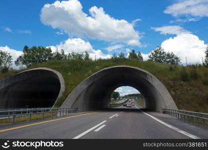tunnel on a road at the Norway