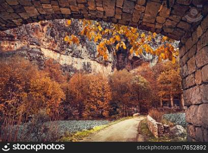 Tunnel over the mountainous road, beautiful trees covered with golden leaves, beauty of autumn season