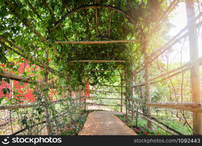 Tunnel plant leaf vine growing cover with bamboo and walkway to the garden and sun light