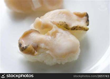 Turban shell sushi