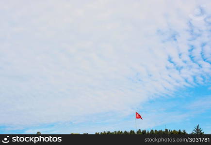 Turkish national flag hang on a pole among the trees. Turkish national flag