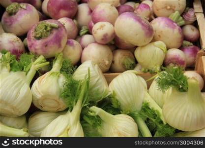 Turnip and fennel at a French market