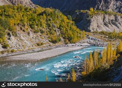 Turquoise blue water of Ghizer river flowing through forest in Gahkuch surrounded by Hindu Kush mountain range. Autumn scenery in Gilgit Baltistan, Pakistan.