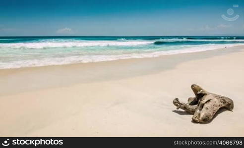 Turquoise ocean and white sand beach with old snag