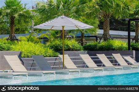 Turquoise swimming pool with sunbeds and garden palm tree