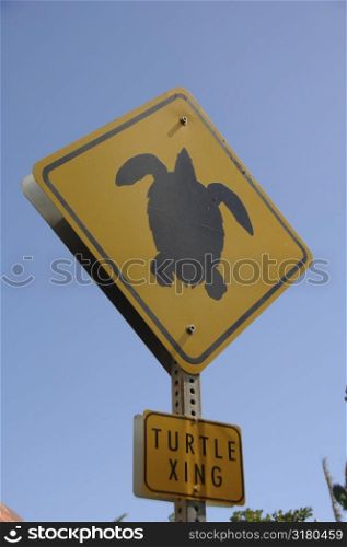 Turtle crossing sign
