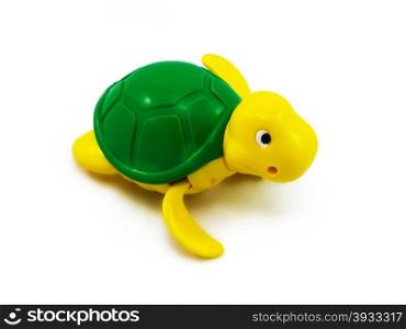 Turtle on a white background isolated objects