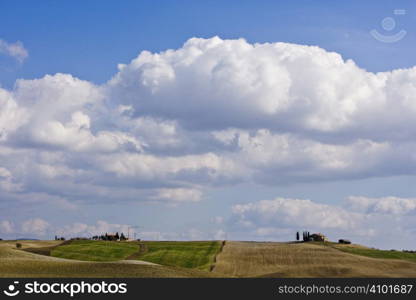 tuscan landscape