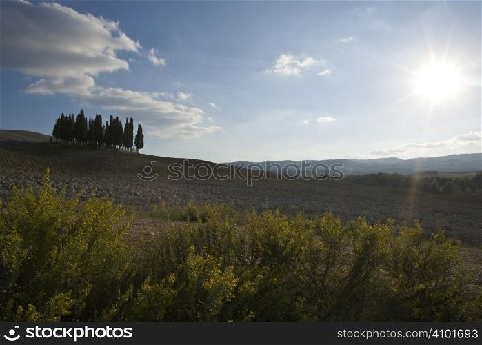 Tuscan Landscape. Val D&acute;Orcia, Tuscany, Italy.