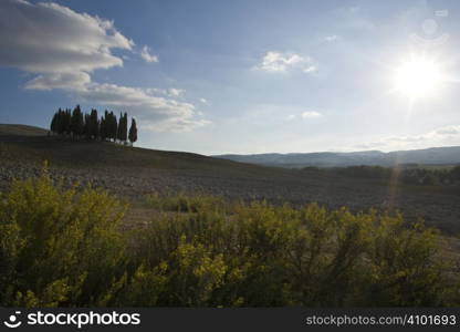 Tuscan Landscape. Val D&acute;Orcia, Tuscany, Italy.