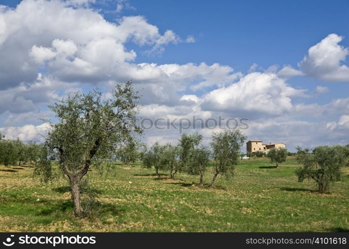 tuscan landscape whit cloud, valle d&acute;Orcia, italy