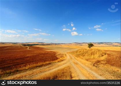 Tuscan Landscape With a Tree At The Crossroads Of Rural Roads
