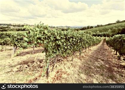 Tuscan Landscape with Vineyards, Retro Image Filtered Style