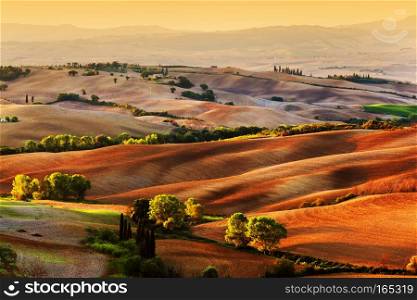 Tuscany countryside landscape at sunrise, Italy. Hilly fields, wavy terrain. Tuscany countryside landscape at sunrise, Italy