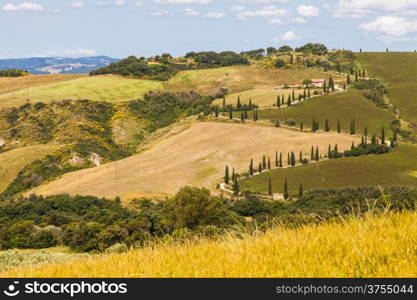 Tuscany, Italy. Famous La Foce street, landmark of Tuscan country.