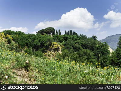 Tuscany landscape. Day light