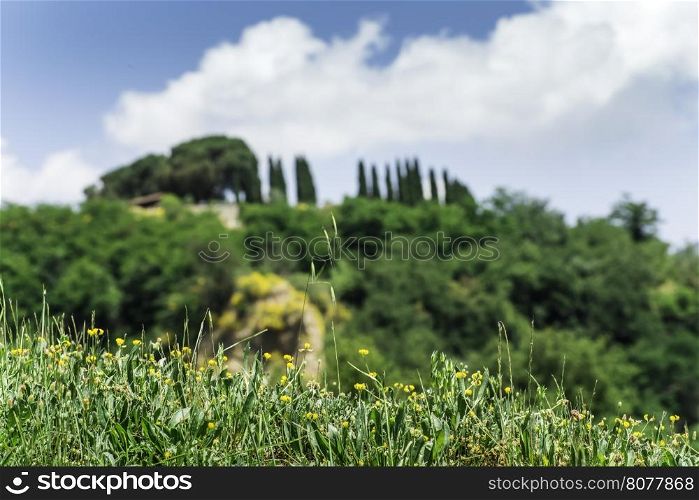 Tuscany landscape. Day light