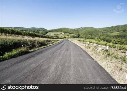 Tuscany landscape with asphalt road and vineyards. Road between vineyards in Italy