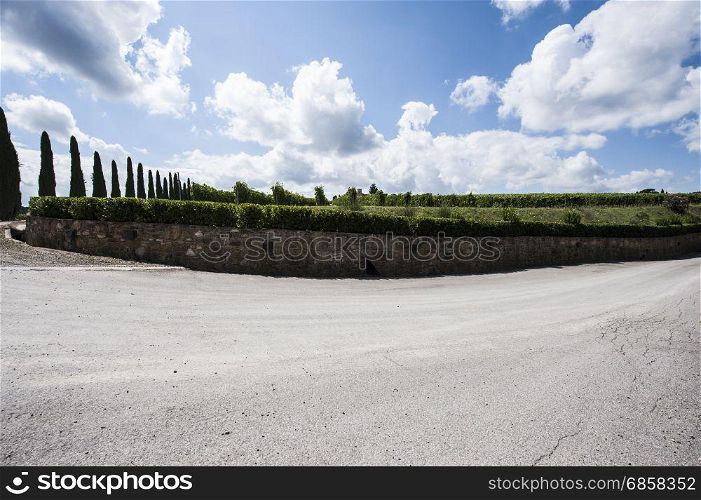 Tuscany landscape with asphalt road and vineyards. Road between vineyards in Italy