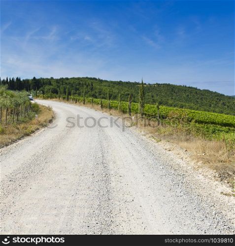 Tuscany landscape with dirty road and vineyards. Road between vineyards in Italy