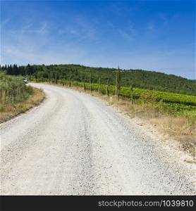 Tuscany landscape with dirty road and vineyards. Road between vineyards in Italy