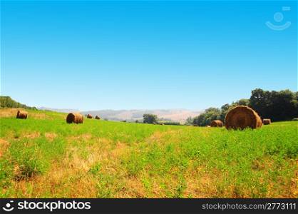Tuscany Landscape With Many Hay Bales