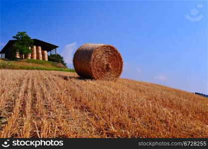 Tuscany Landscape with Many Hay Bales