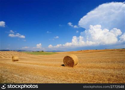 Tuscany Landscape With Many Hay Bales at Noon