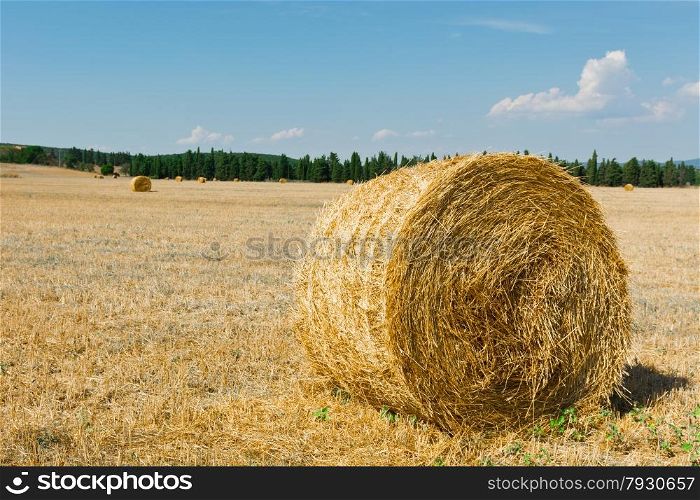 Tuscany Landscape with Many Hay Bales in Italy