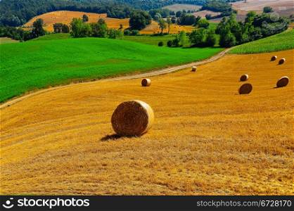 Tuscany Landscape with Many Hay Bales in the Morning