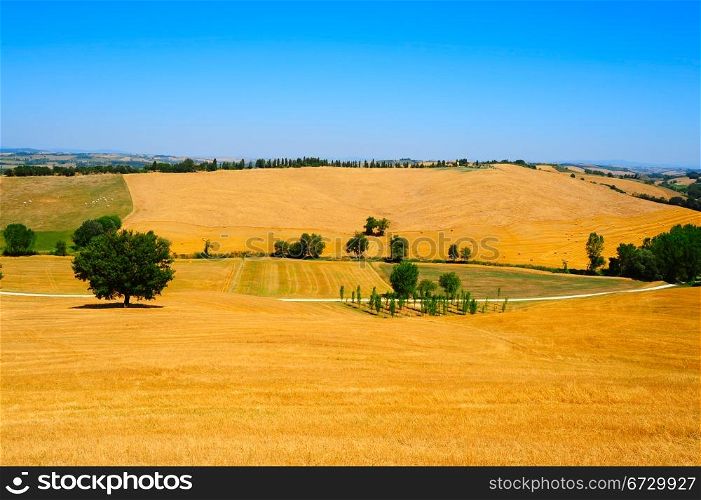 Tuscany Landscape With Many Hay Bales In The Morning