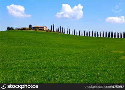 tuscany landscape with old house and cypresses at sunny day. province of Siena. Tuscany, Italy
