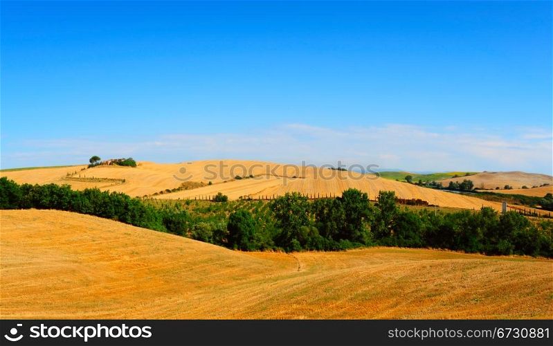 Tuscany Landscape with Pond in the Morning