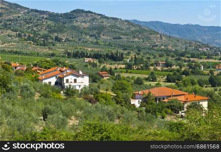 Tuscany village between olive trees and vineyards. Italian landscape with farmhouses, fields, cypress and olive trees