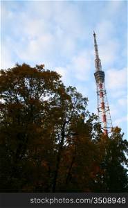tv tower in tree foliage