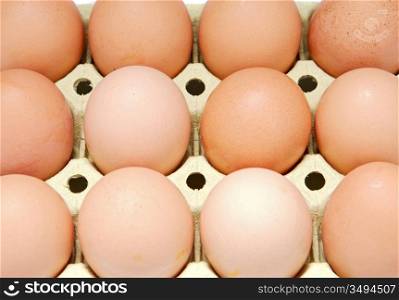 twelve eggs brown chicken in a box