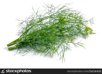 Twig of dill isolated on white background