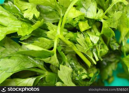 Twig of parsley nature food texture background